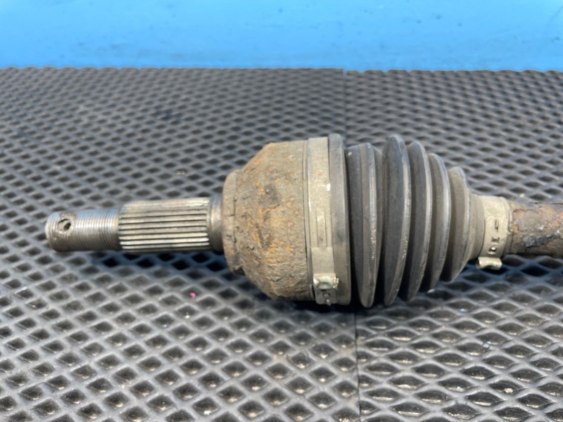 Привод, 1000 рублей, Санкт-Петербург