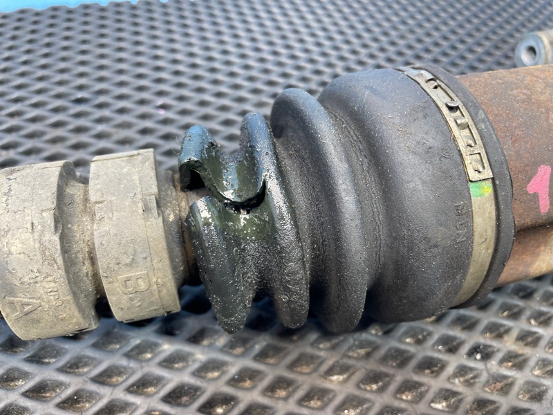 Привод, 1000 рублей, Санкт-Петербург