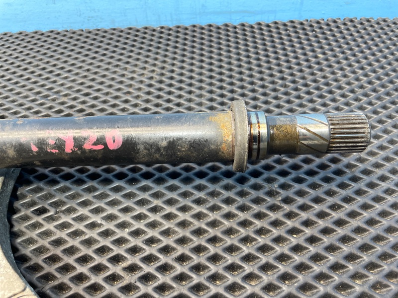 Привод, 1000 рублей, Санкт-Петербург