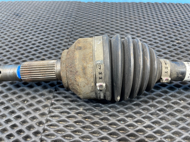 Привод, 1000 рублей, Санкт-Петербург