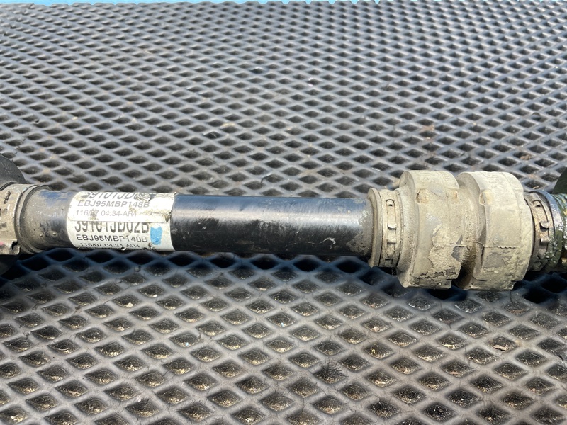 Привод, 1000 рублей, Санкт-Петербург