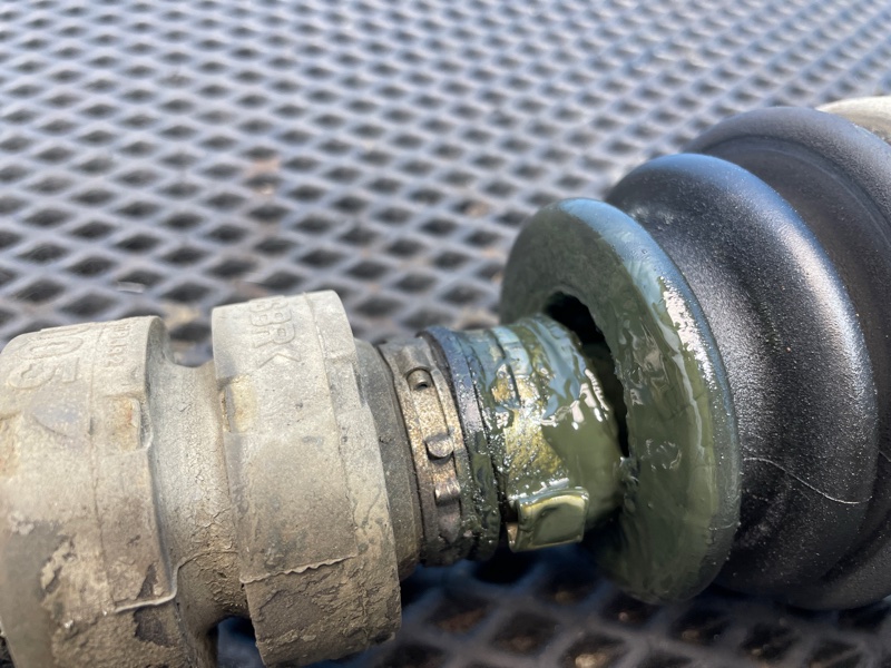 Привод, 1000 рублей, Санкт-Петербург