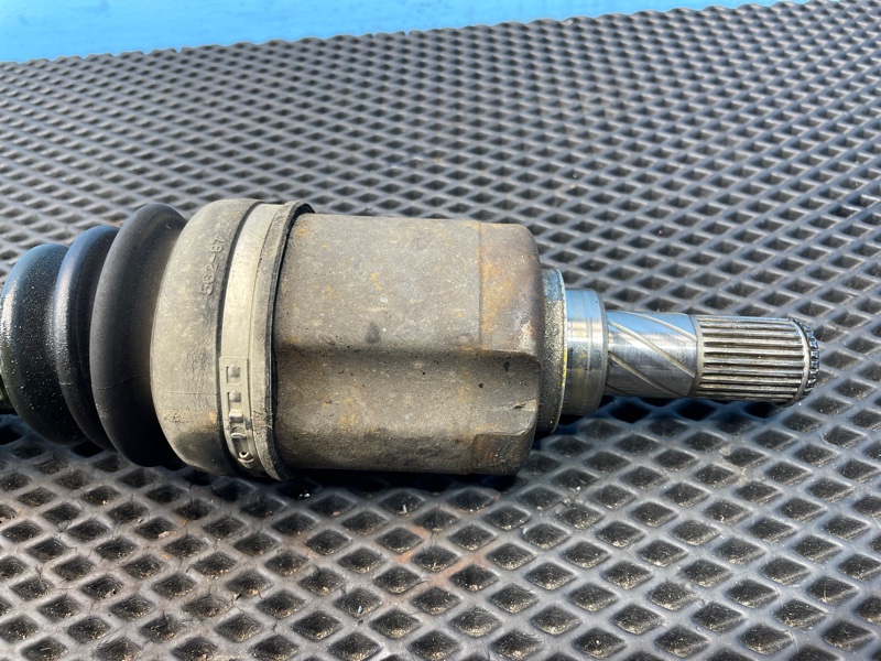 Привод, 1000 рублей, Санкт-Петербург