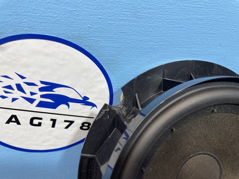 Динамик, 1000 рублей, Санкт-Петербург