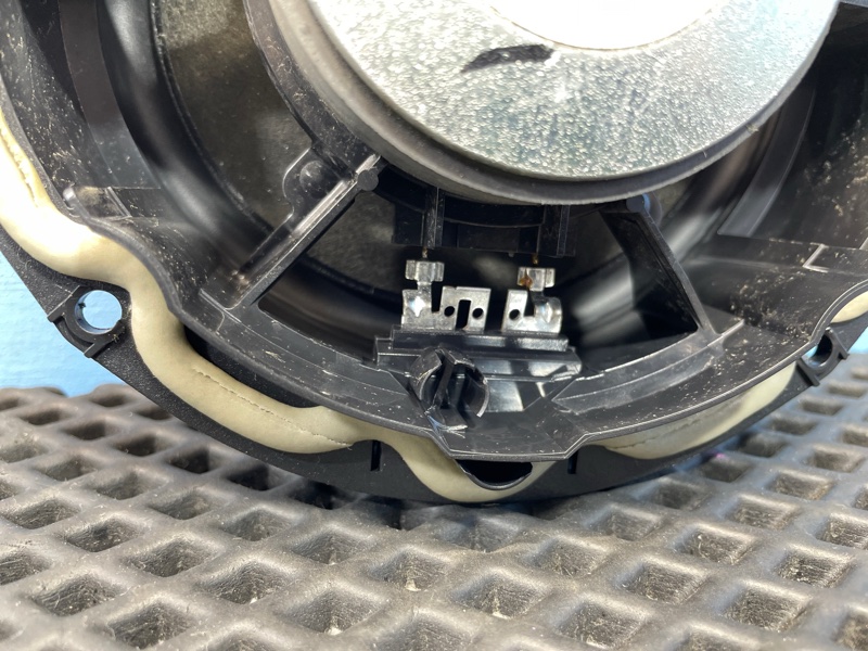 Динамик, 1000 рублей, Санкт-Петербург