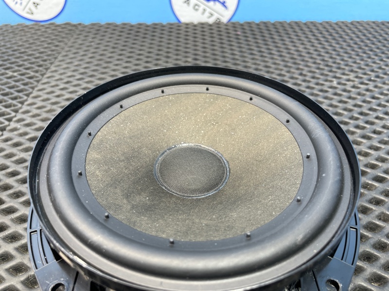 Динамик, 1000 рублей, Санкт-Петербург