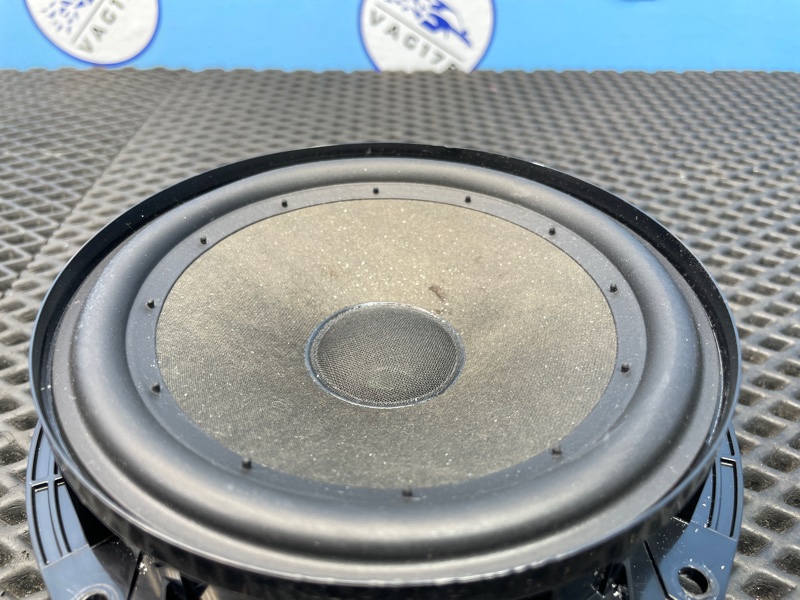 Динамик, 1000 рублей, Санкт-Петербург