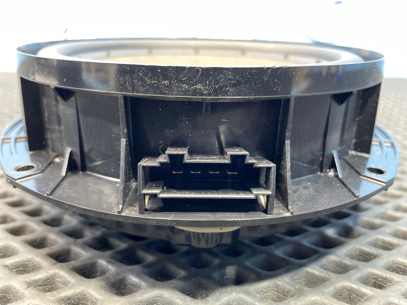 Динамик, 1000 рублей, Санкт-Петербург