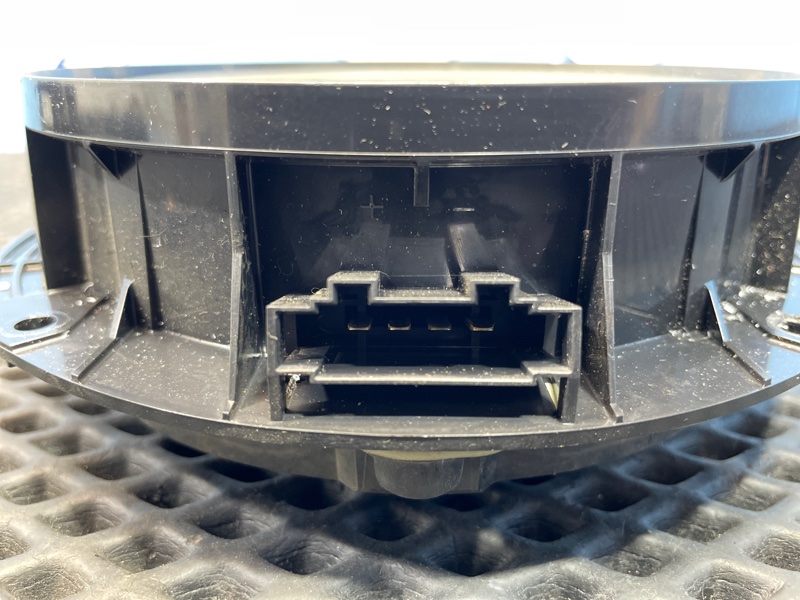 Динамик, 1000 рублей, Санкт-Петербург