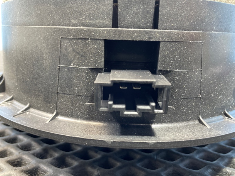 Динамик, 1000 рублей, Санкт-Петербург