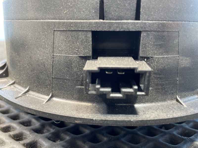 Динамик, 1000 рублей, Санкт-Петербург