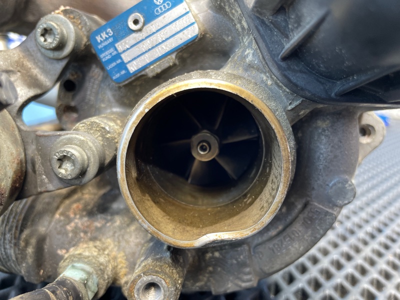 Турбина, 8000 рублей, Санкт-Петербург