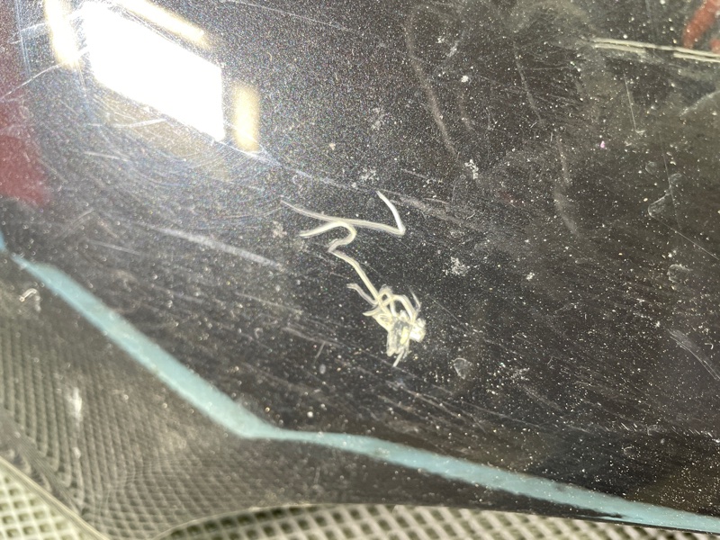 Крыло, 8000 рублей, Санкт-Петербург