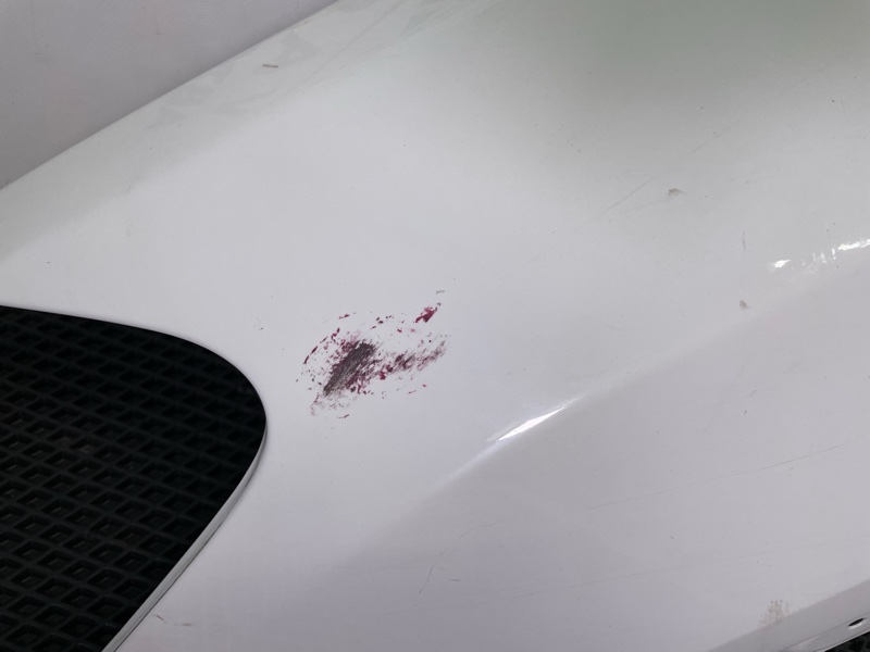 Крыло, 5000 рублей, Санкт-Петербург