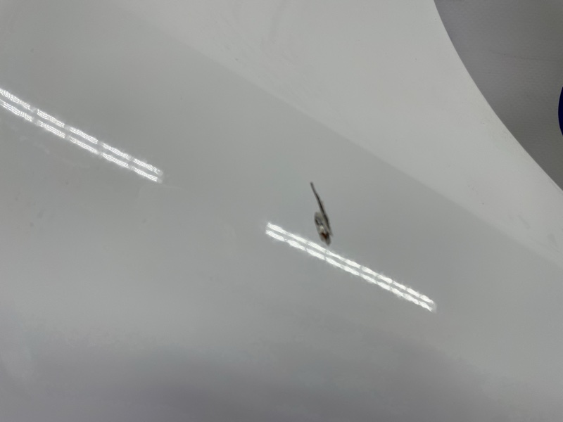 Крыло, 12000 рублей, Санкт-Петербург