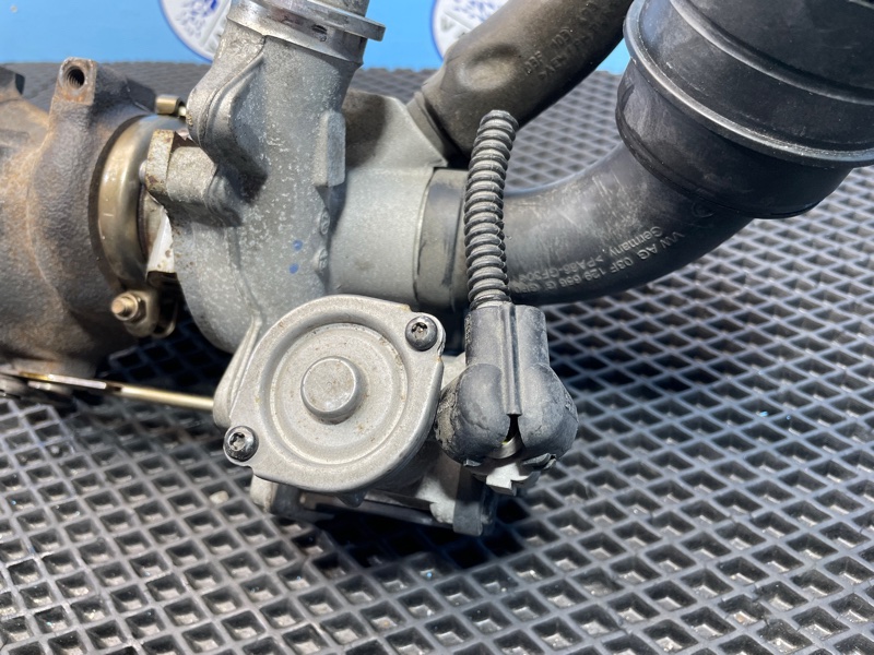 Турбина, 27000 рублей, Санкт-Петербург