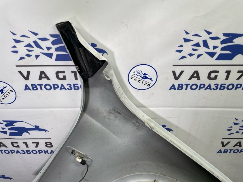 Крыло, 10000 рублей, Санкт-Петербург