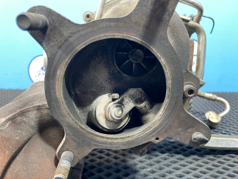 Турбина, 20000 рублей, Санкт-Петербург