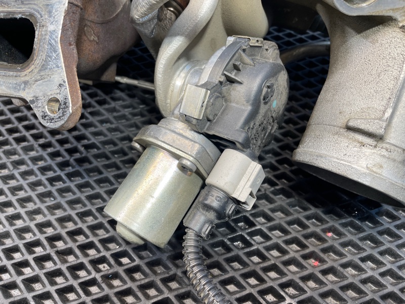 Турбина, 30000 рублей, Санкт-Петербург