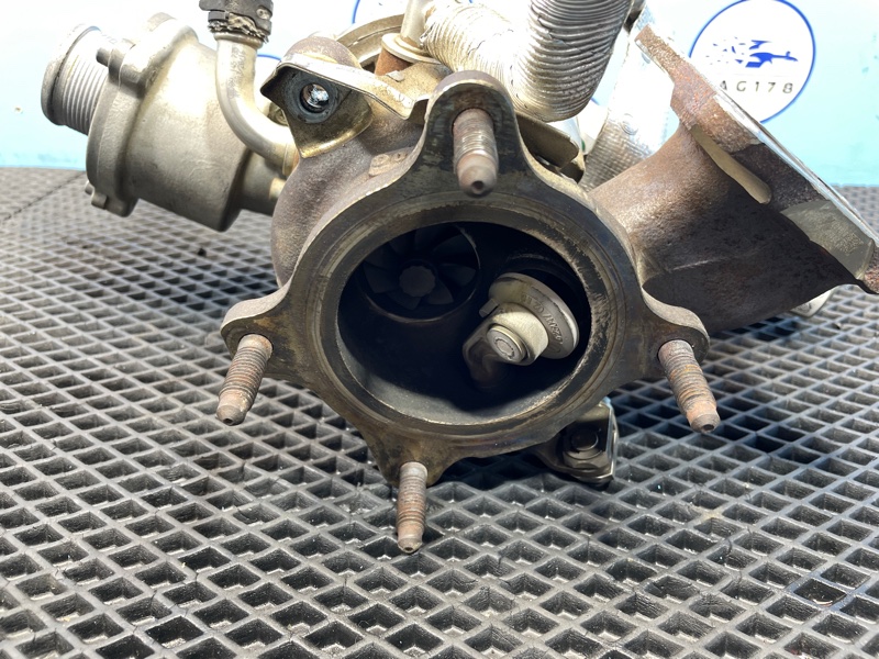 Турбина, 30000 рублей, Санкт-Петербург