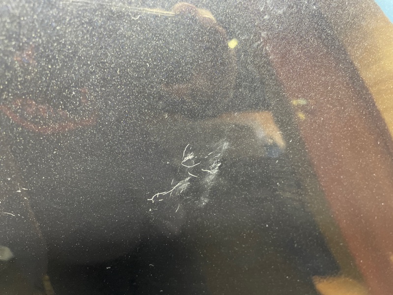 Крыло, 3000 рублей, Санкт-Петербург