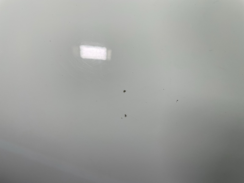 Дверь, 20000 рублей, Санкт-Петербург