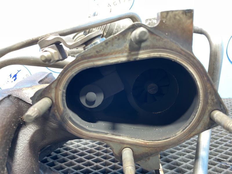 Турбина, 12000 рублей, Санкт-Петербург