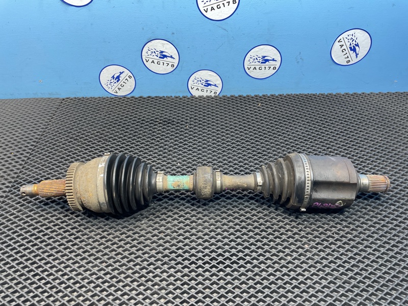 Привод, 1000 рублей, Санкт-Петербург