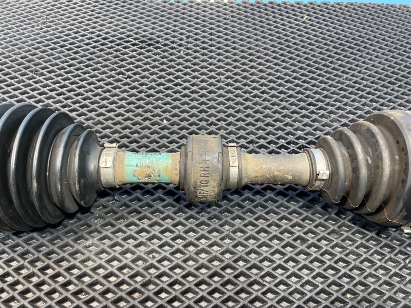 Привод, 1000 рублей, Санкт-Петербург