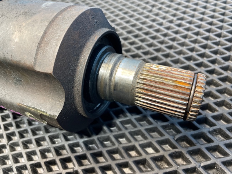 Привод, 1000 рублей, Санкт-Петербург