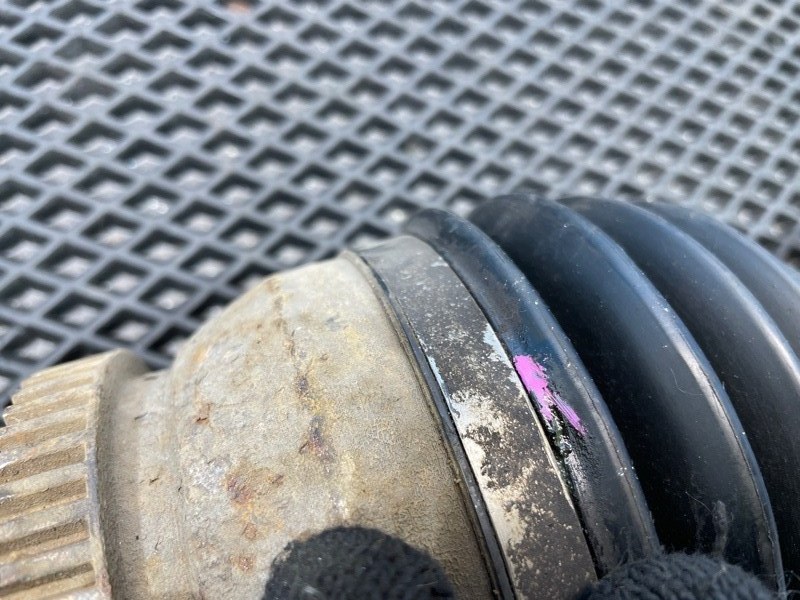 Привод, 1000 рублей, Санкт-Петербург