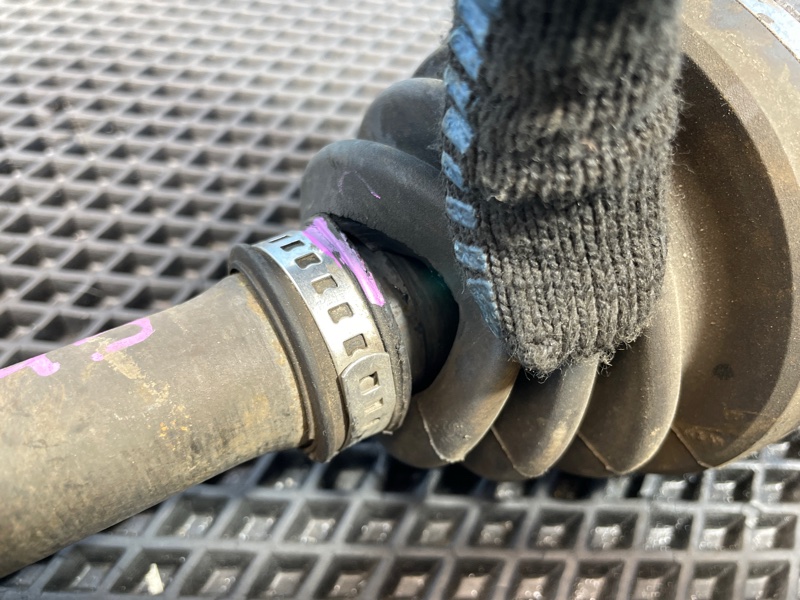 Привод, 1000 рублей, Санкт-Петербург