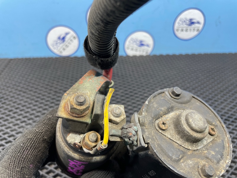 Стартер, 1000 рублей, Санкт-Петербург