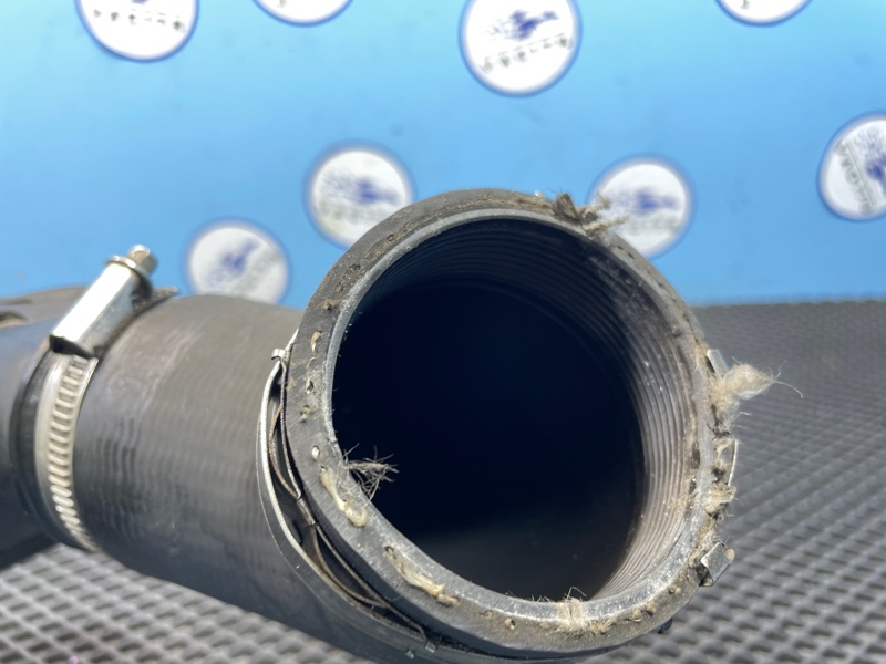 Патрубок интеркулера, 1500 рублей, Санкт-Петербург