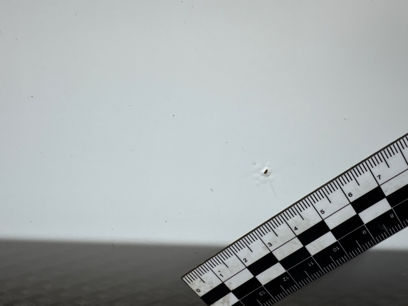 Дверь, 10000 рублей, Санкт-Петербург