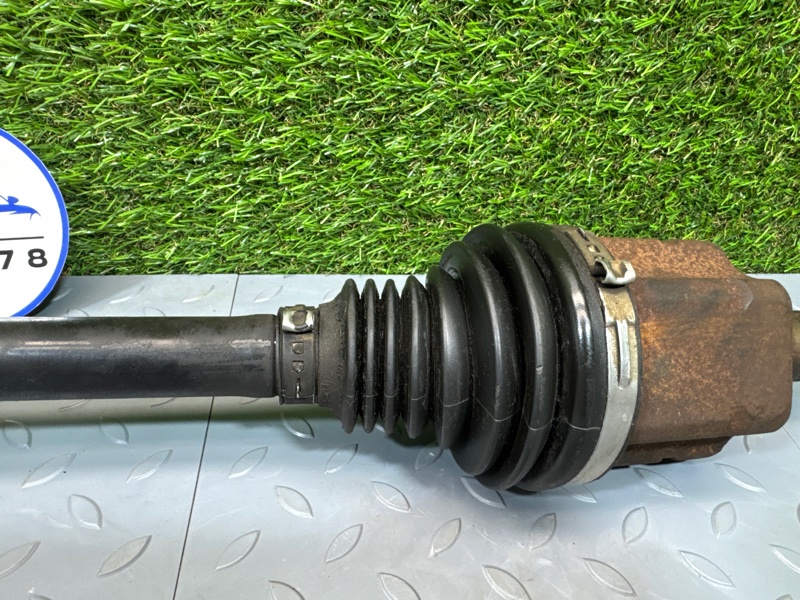 Привод, 10000 рублей, Санкт-Петербург