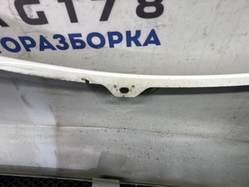 Крыло, 25000 рублей, Санкт-Петербург