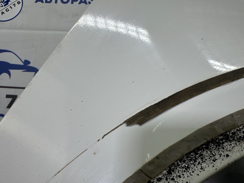 Крыло, 12000 рублей, Санкт-Петербург