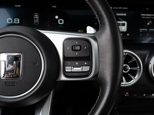 Внедорожник Tank 300 2023 года, 3300000 рублей, Краснодар