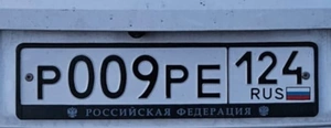 Р009РЕ124 250009 рублей, Красноярск