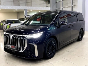 Минивэн Voyah Dream 2023 года, 5687000 рублей, Солонцы