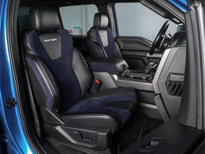 Пикап Ford F-150 Raptor 2019 года, 7450000 рублей, Минеральные Воды
