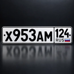 Гос номер 953 120000 рублей, Красноярск