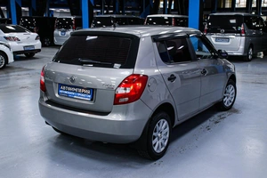 Хетчбэк Skoda Fabia 2010 года, 455000 рублей, Солонцы