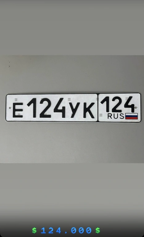 Госномер 124/124. Е 124 УК 124. 124000 рублей, Красноярск