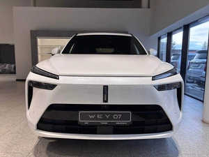 Внедорожник Wey 07 2025 года, 7199000 рублей, Красноярск