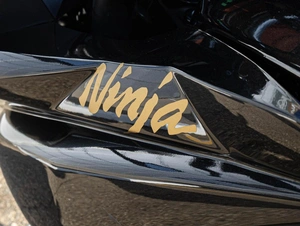 Kawasaki Ninja 1000 2016 года, 859000 рублей, Краснодар