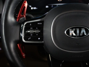 Минивэн Kia Carnival 2020 года, 4999000 рублей, Санкт-Петербург