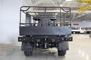 Внедорожник открытый ПЛАСТУН ТТ 2025 года, 1950000 рублей, Брянск