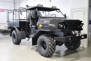 Внедорожник открытый ПЛАСТУН ТТ 2025 года, 1950000 рублей, Брянск